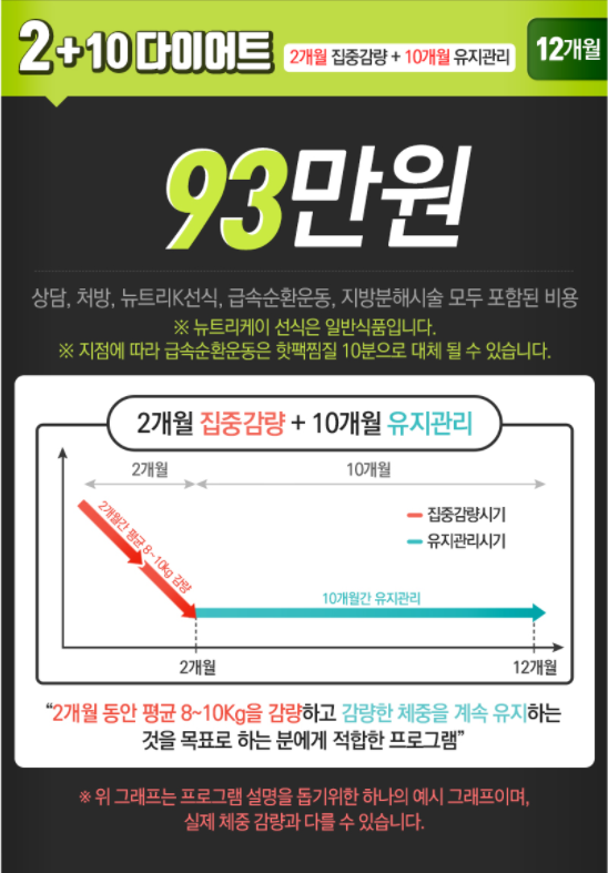 2+10 다이어트